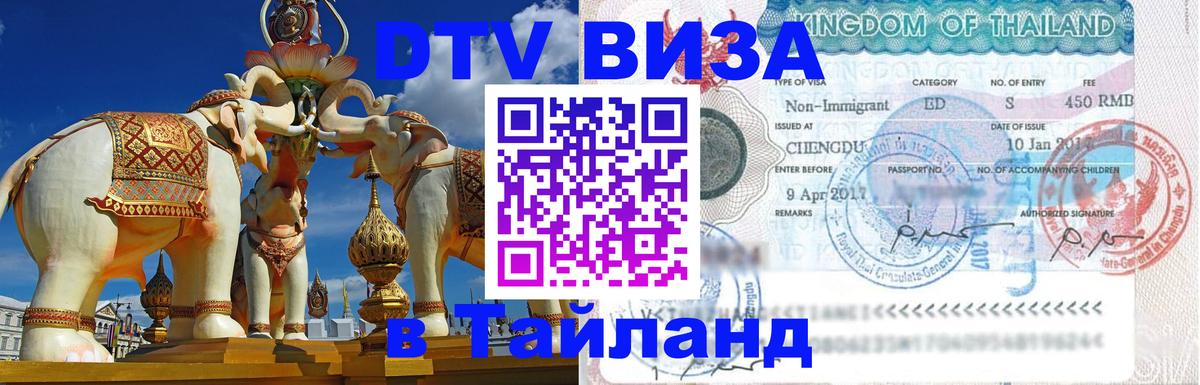 Сколько стоит DTV виза — актуальные цены, оформление даже без документов - 20.11.2025 